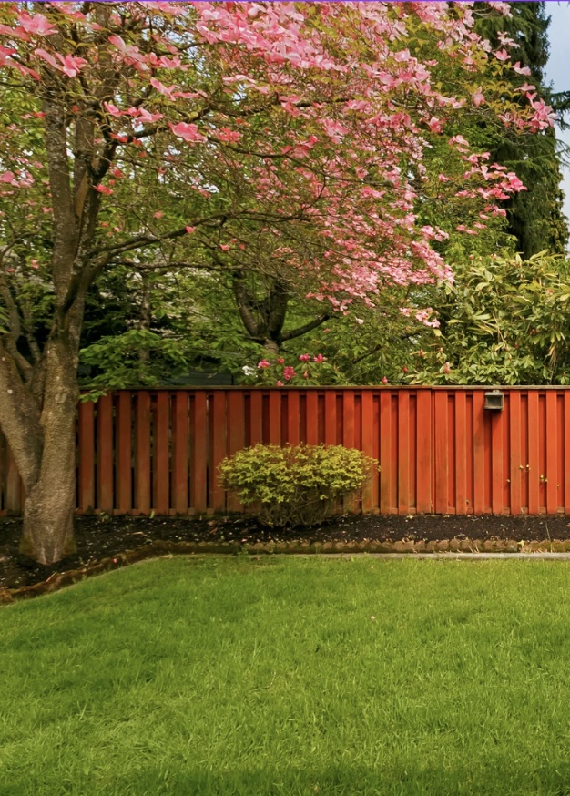 Backyard application